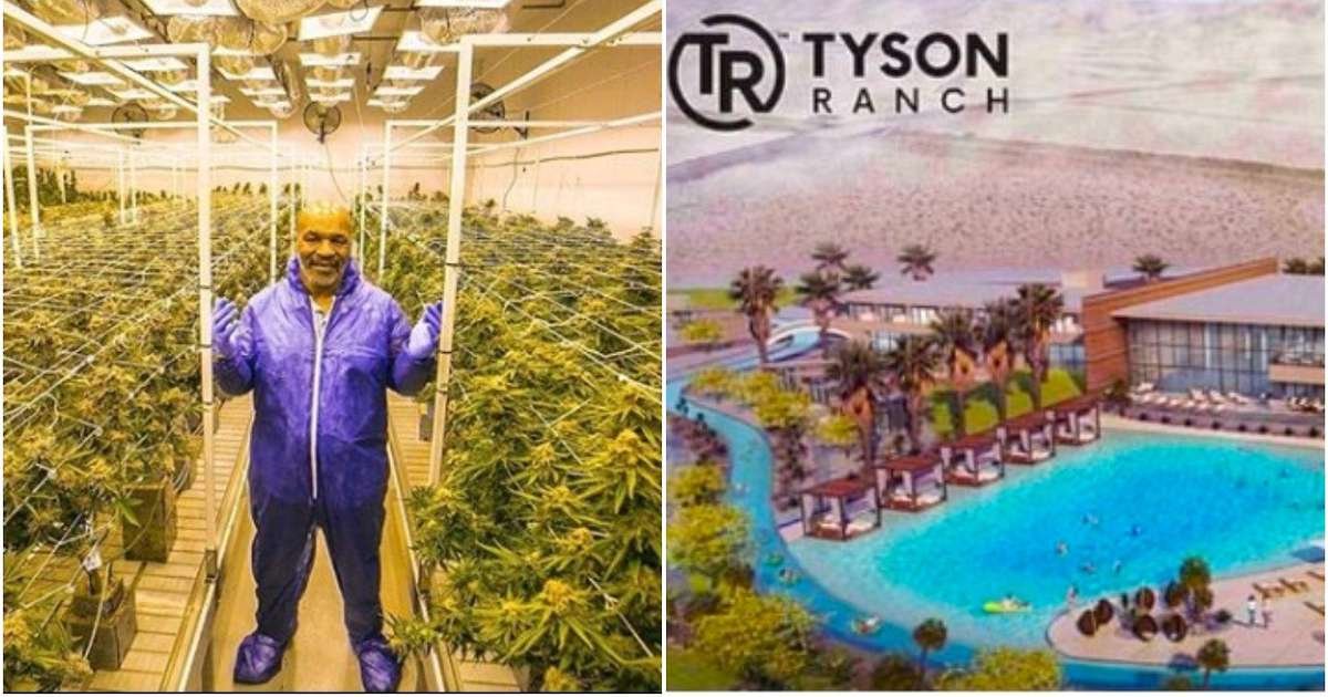 Image result for mike tyson ranch