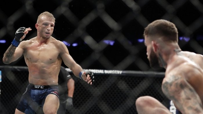 T.J. Dillashaw se vrací do UFC po použití dopingu